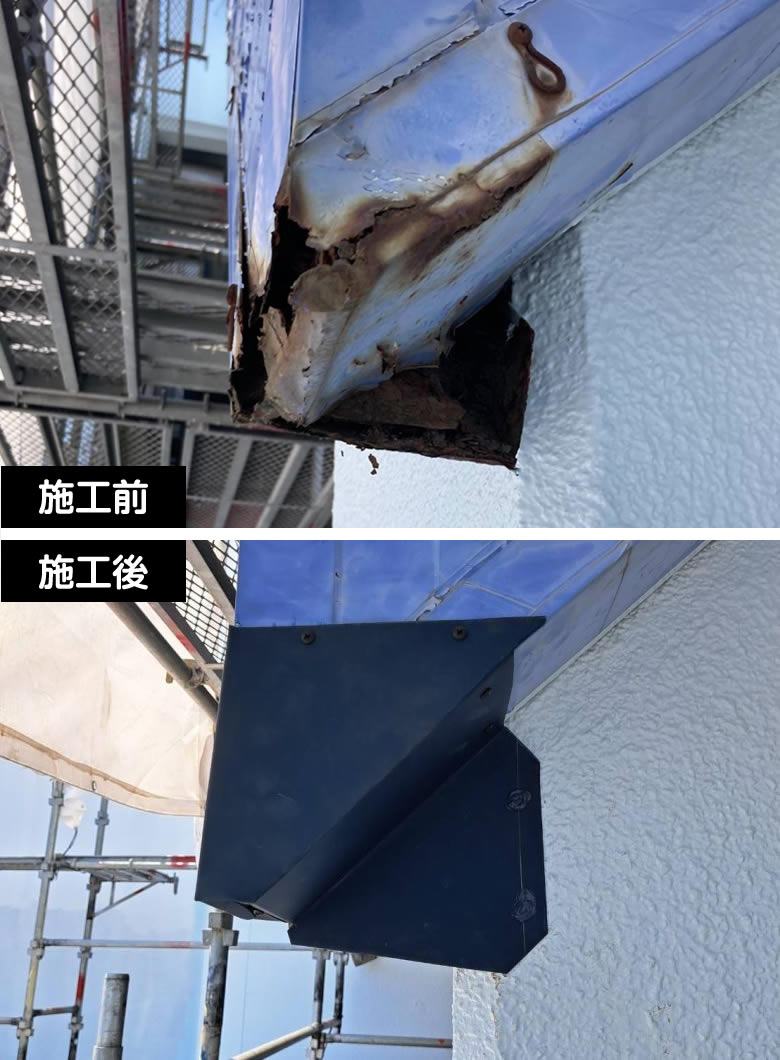 雨樋清掃